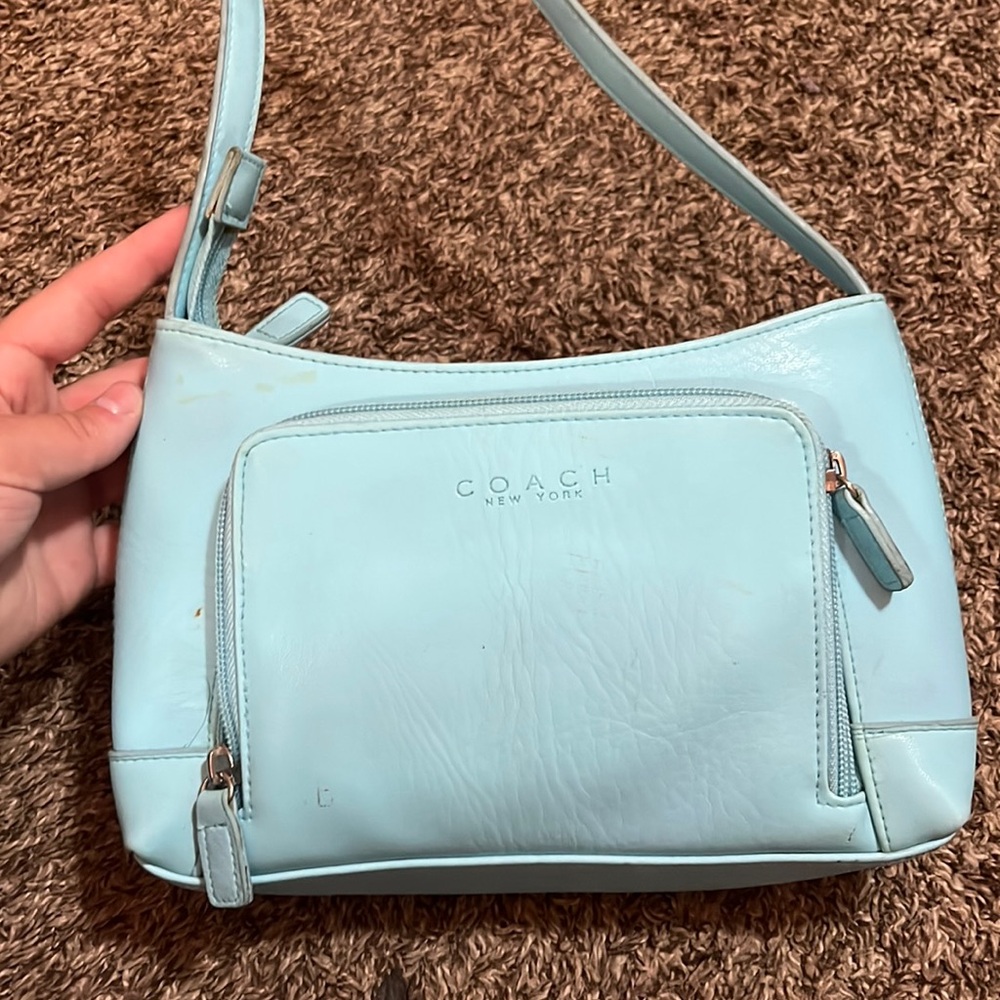 coach purse (fake)